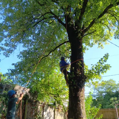 Our Work