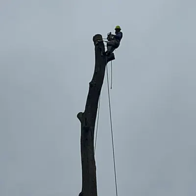 Our Work